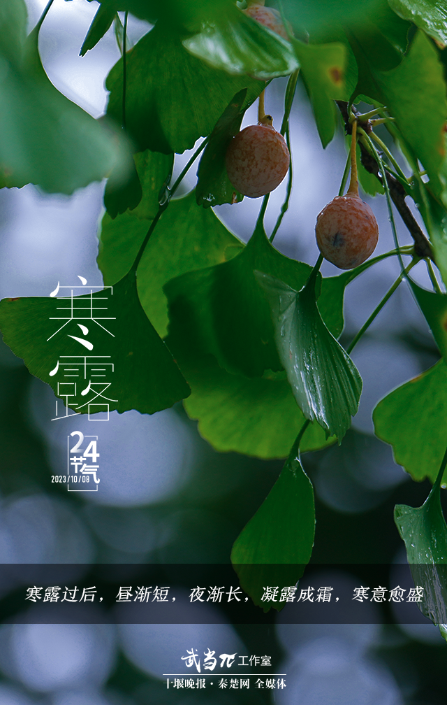 171819enqjcmccjb674eq4.png