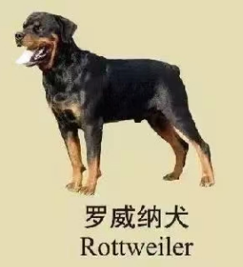 102547ew39icl9wmcwijaw.png