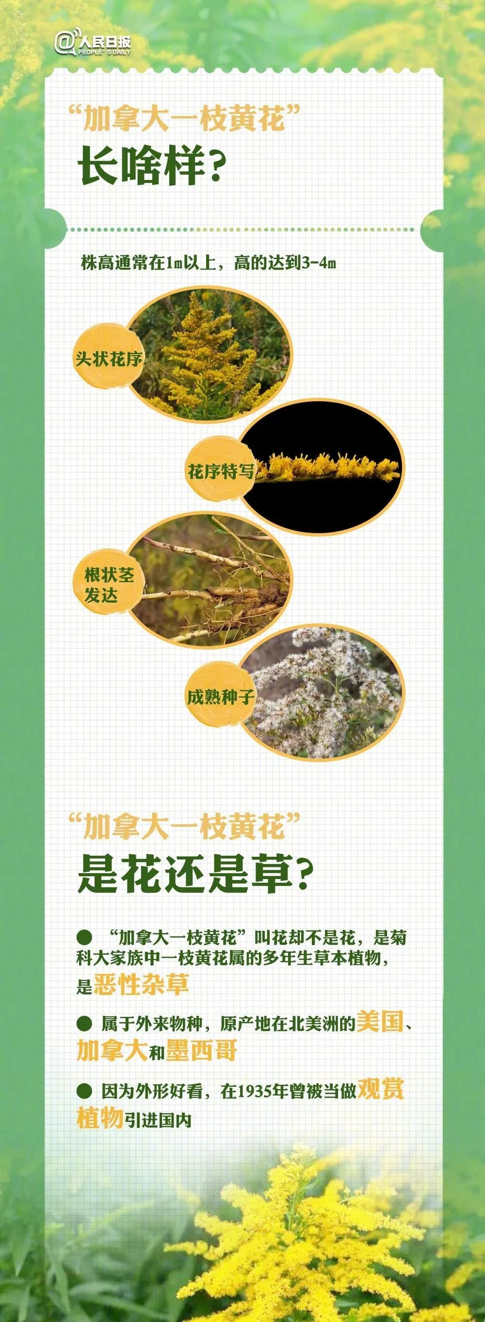 154559b8c626g864k4yc00.png
