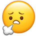 164540in1riq9acigtxtx8.png