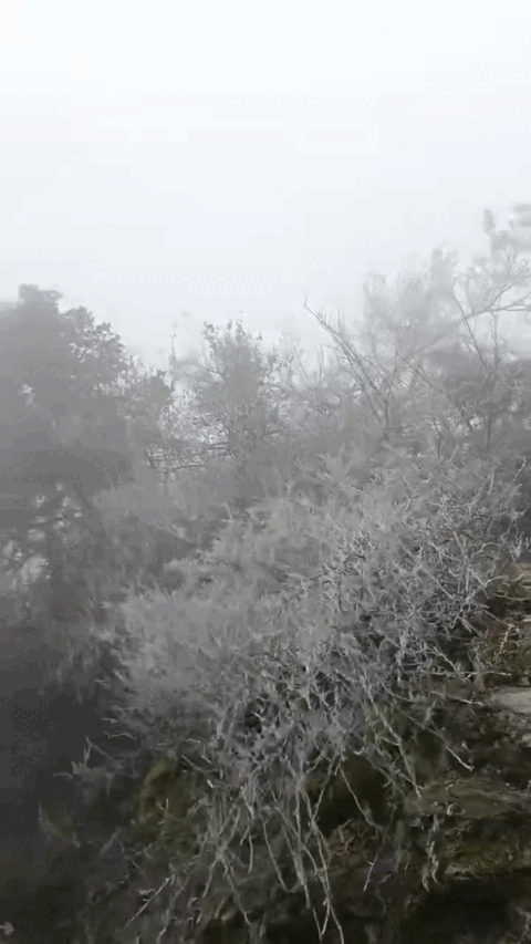 164541r7qq090xd7iqsoq2.gif