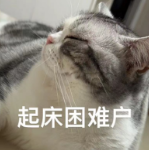 161702d5xkn97ng5xc2lm7.png