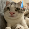 161702zcn83snbvkid88zp.png