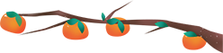 165725ymrirfrtn835m833.png