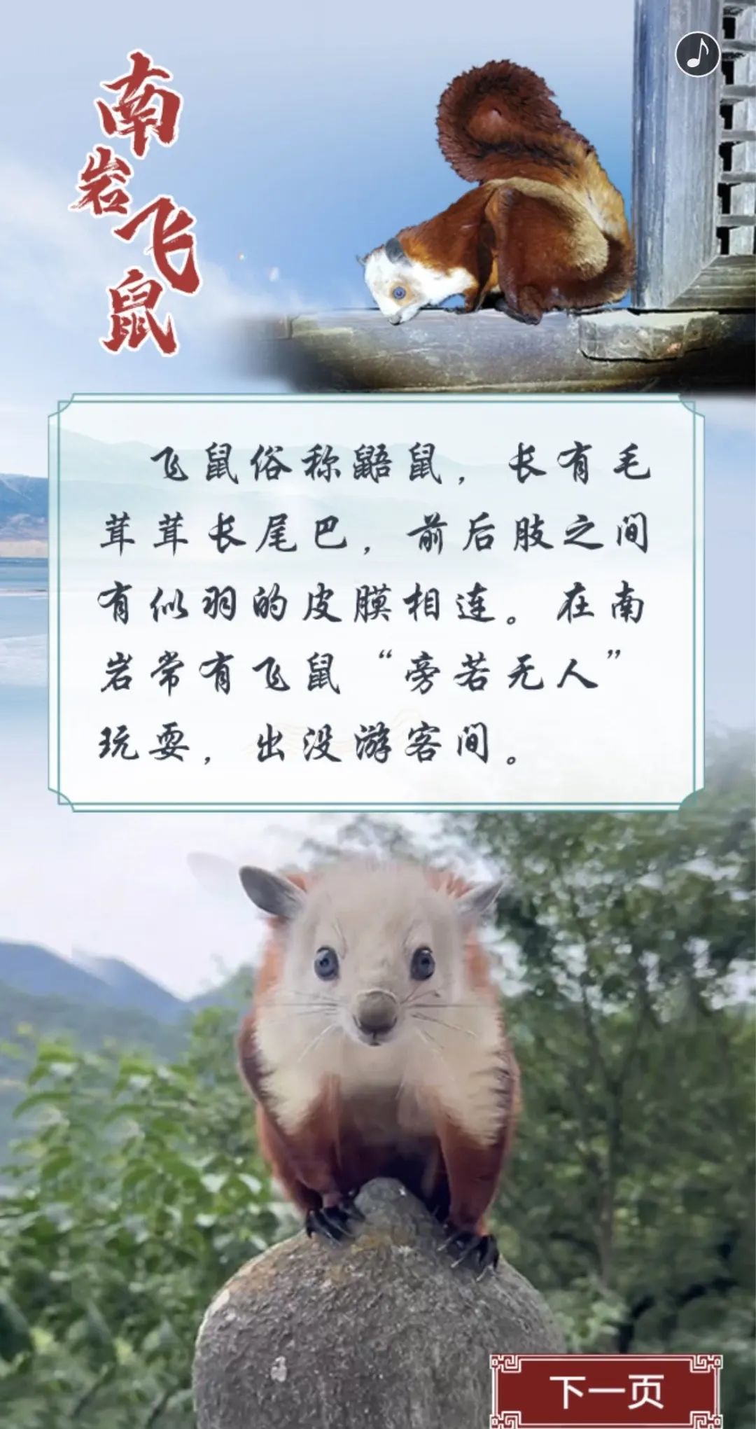 154809qhrfxl2jfkifu00h.jpeg