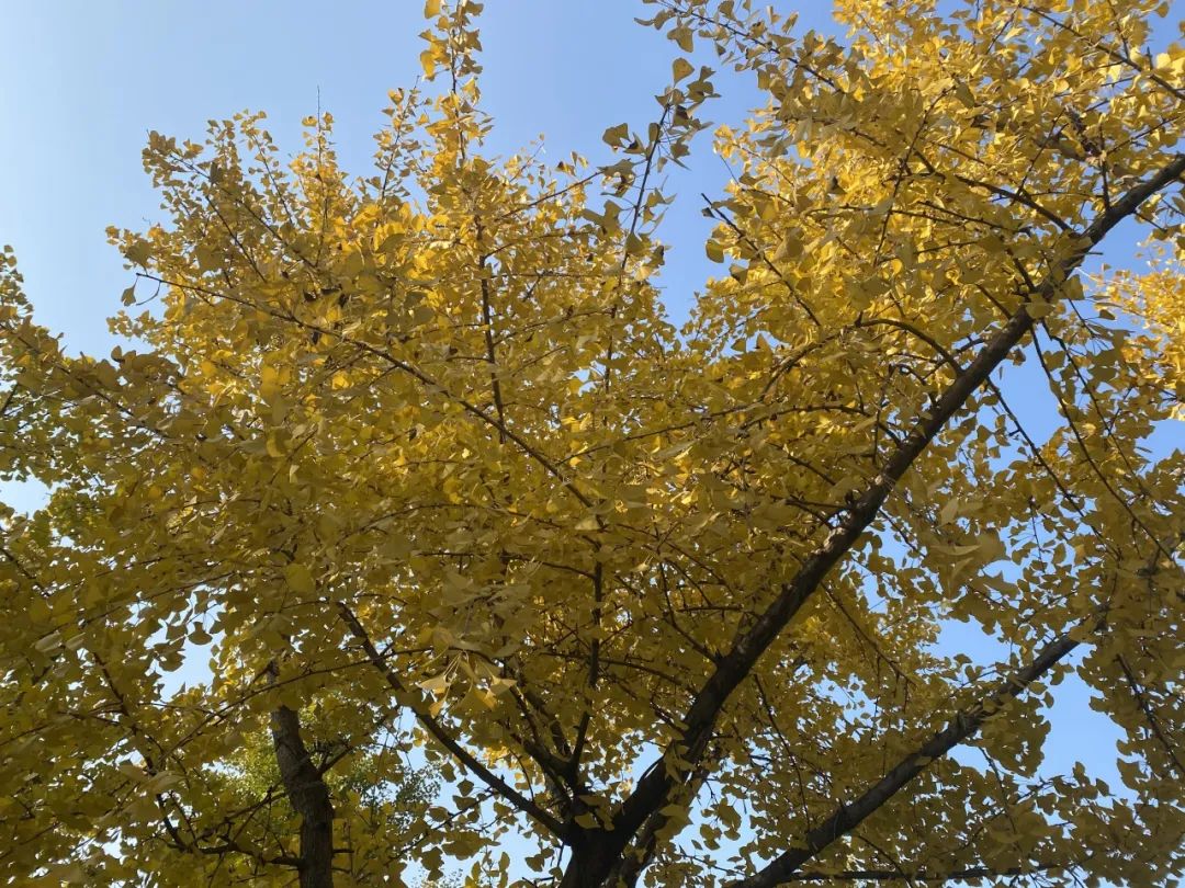 160248xm0612m801eaybp6.jpeg