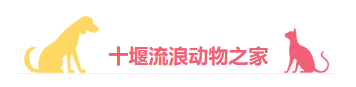 175310r7aeascayg83i8dc.png