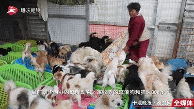 175311c6p4a4u4pa441769.gif