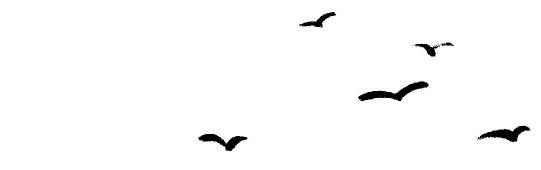 171734pxbbvwegvzyi4vxb.gif