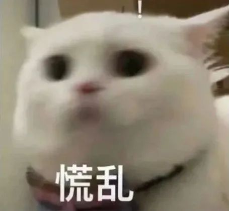 141030hjscg4585f47e7f4.jpeg