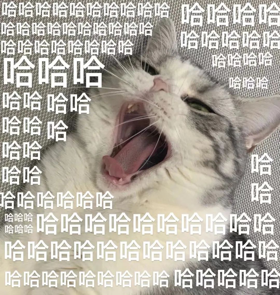 140947vrc94ndwwcmpz8pk.jpeg