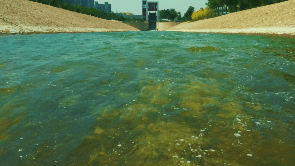 174528swfw9vwafgoingnw.gif