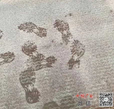 165841oktqn9tqu8kvma2n.jpeg