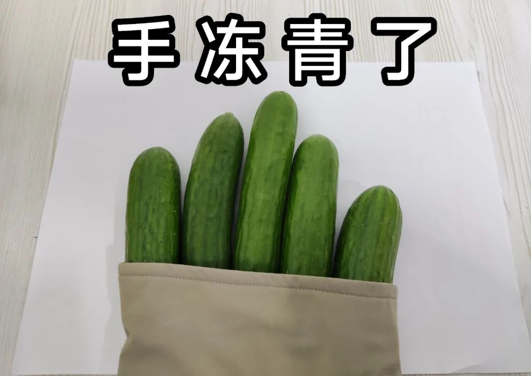 174133jybpbouegeyp4tf6.jpeg