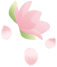 174656jzvrshfssdzc7bbd.png