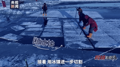 084457gw44x444w4vt546e.gif