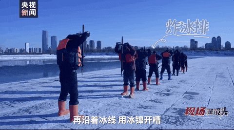 084457i5a12a91y4zmh1hm.gif