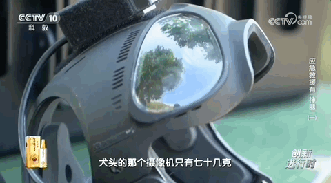 151238nzgvxxigs2syn3ff.gif