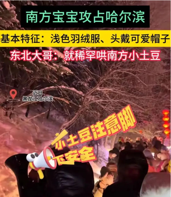 152202sy8t7i7xvimmx4ux.png