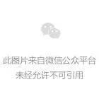 145643nwbk4w81b16vn8dw.jpeg
