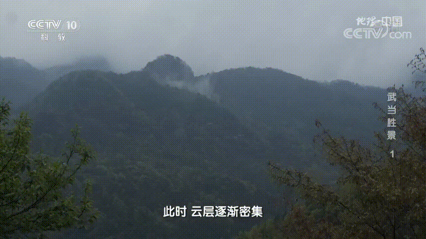 180031obpemcac08mcsrrx.gif