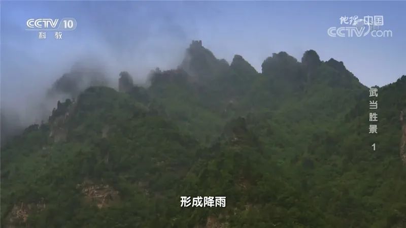 180033rqe7qmmalaoq9qrj.jpeg