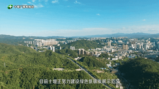 110136o9se6p4z47e946ff.gif