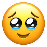 094528nwkicl9w9d97ka7h.png
