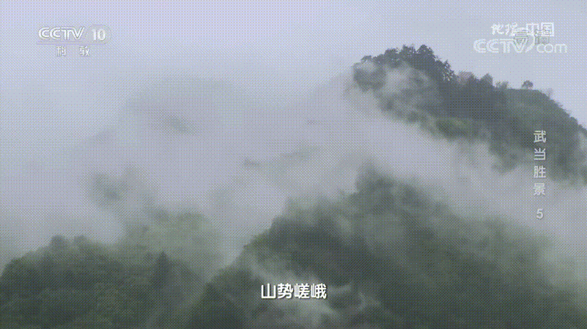 163841f9x3tg0ttxe0hzr8.gif