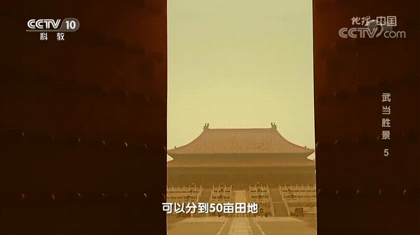 163842hr1hvhe5vjqsbri8.gif