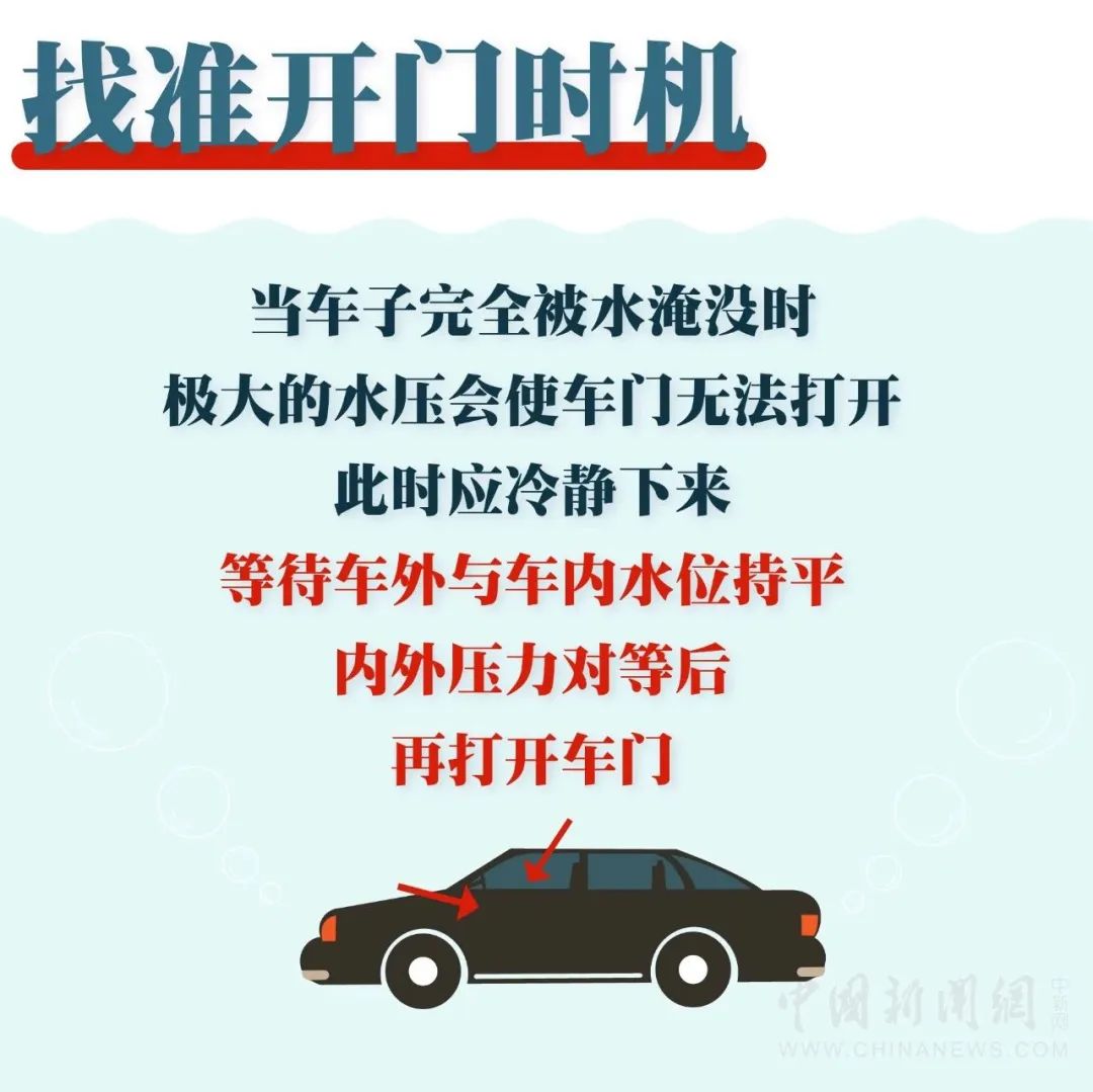 165725x8p8dt2dgq2ffmbm.jpeg