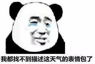 172815bhdhdyjic335hw3h.jpeg
