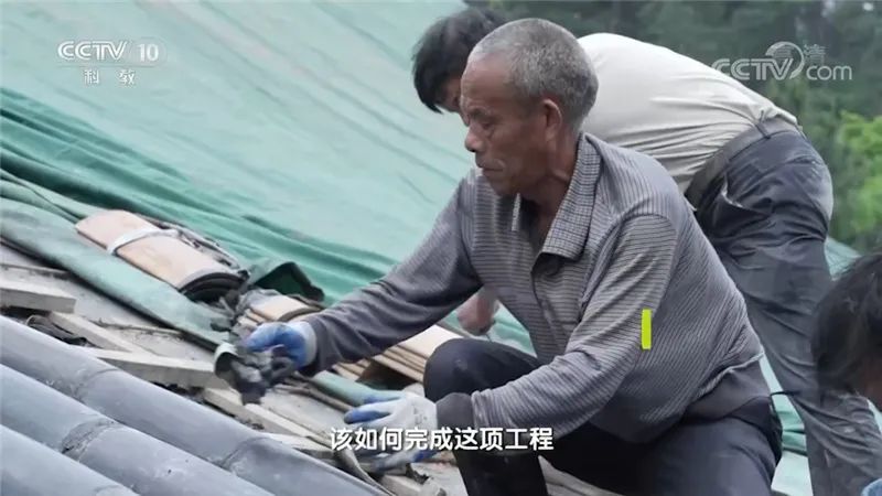 173114tbopofy9dj8ej9wj.jpeg