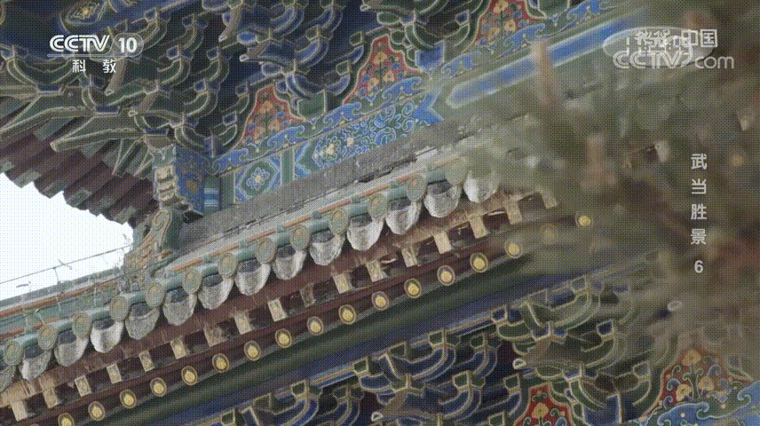 173115c626sptq6b252ttt.gif