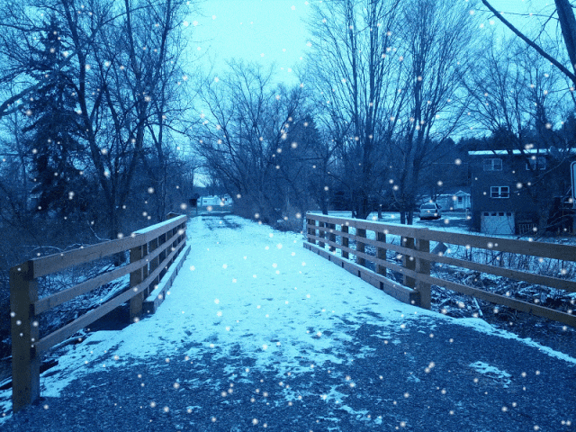 103701sdzcjzqvjqvzitvv.gif