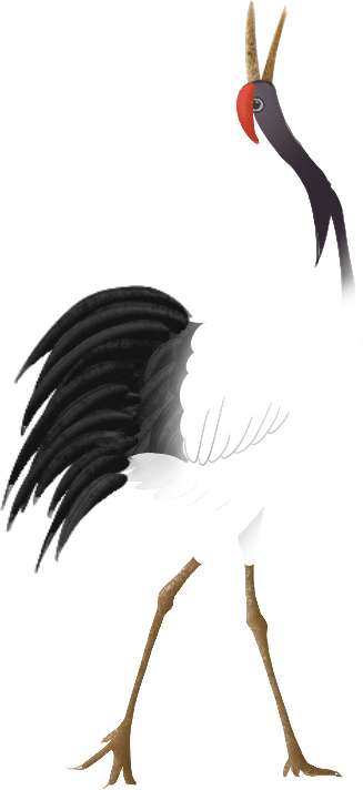 163206piif5iujixtifack.png