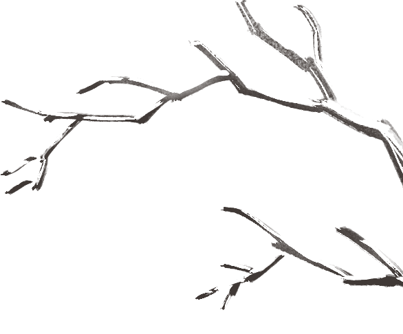 163206v8jafnhpjf3z0fuw.png