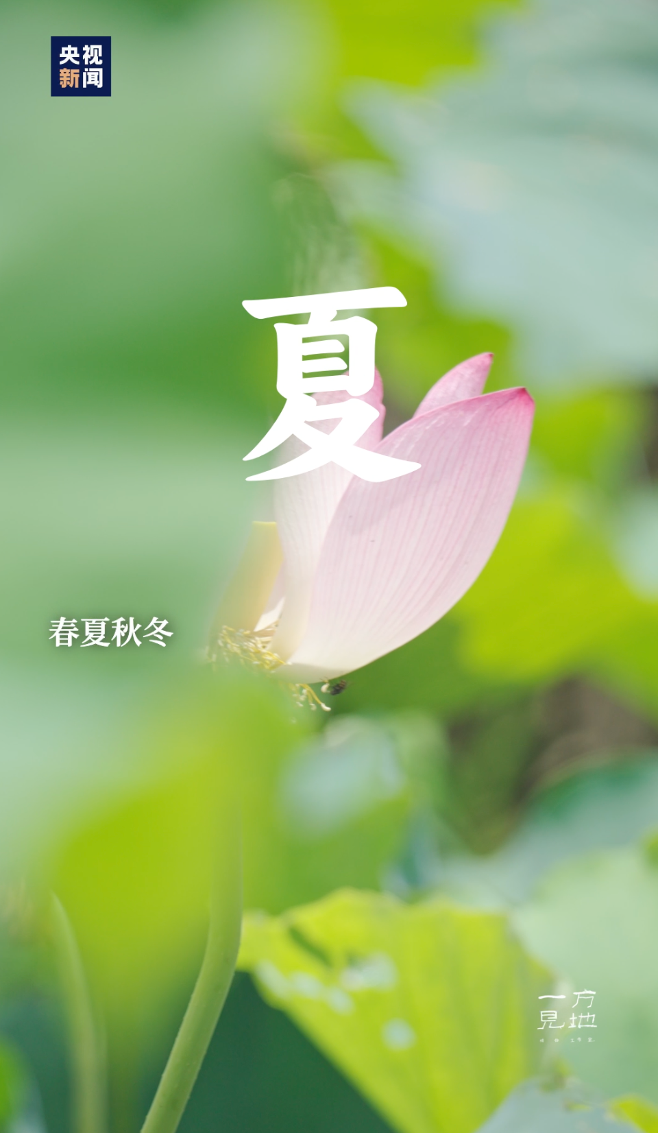 094735bp73s33p231sf67i.png