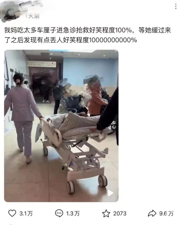 104504qq384q8xilhl9qie.jpeg