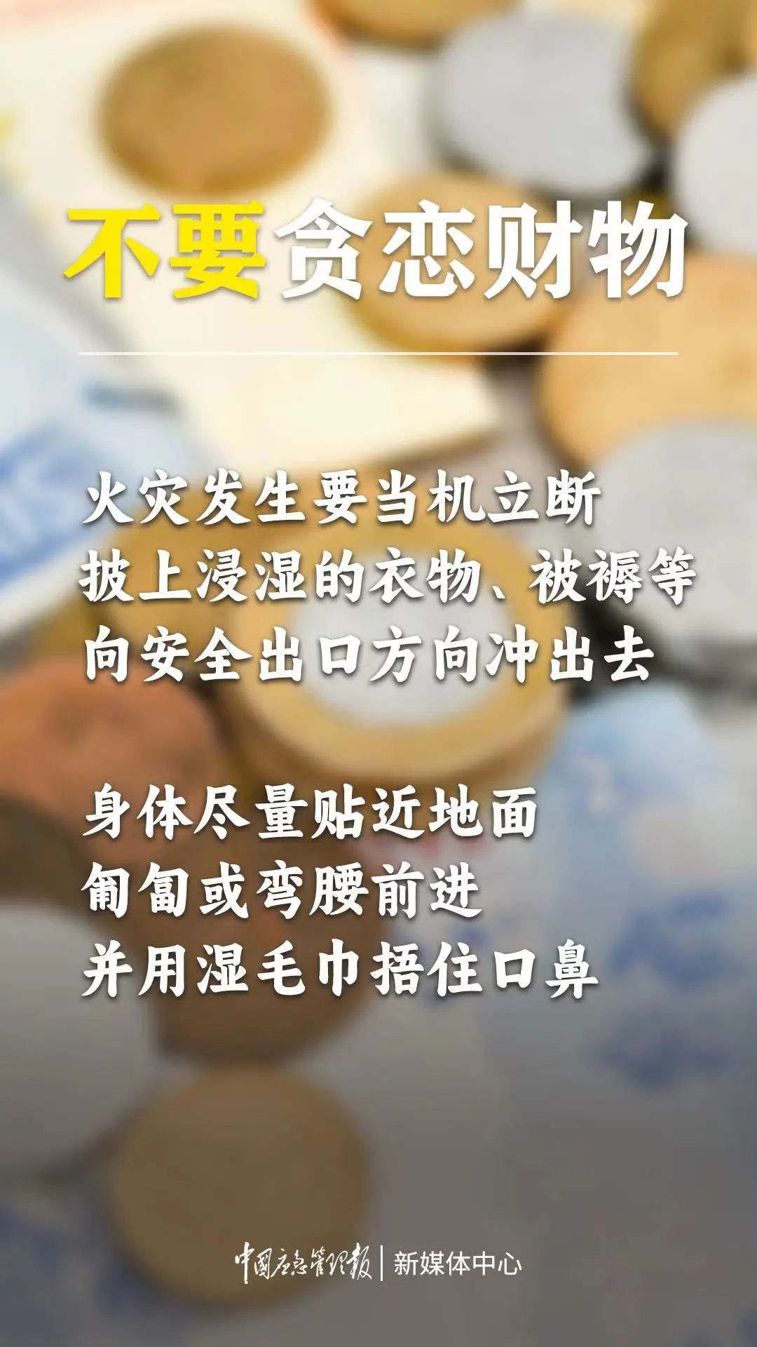 104835cqogob7hktjnt8tq.jpeg