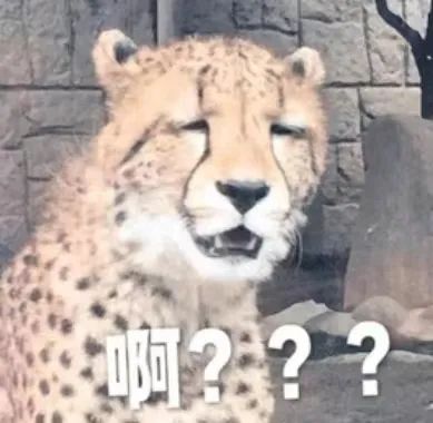 085641tr7cdj120ujucj1i.jpeg