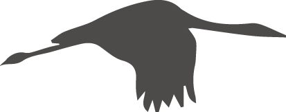 163156fhbuz4no11huulhy.png