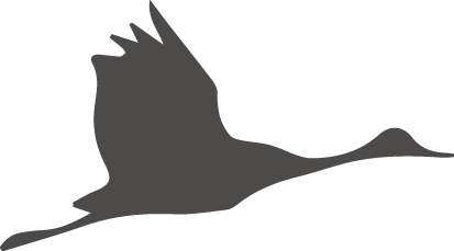 163156w5xiaxq5dczivkdm.png