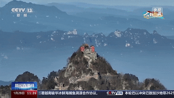 163157qqzbun796u900tb6.gif