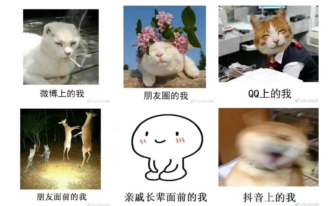 172555jjgg5g3pc78eacef.png