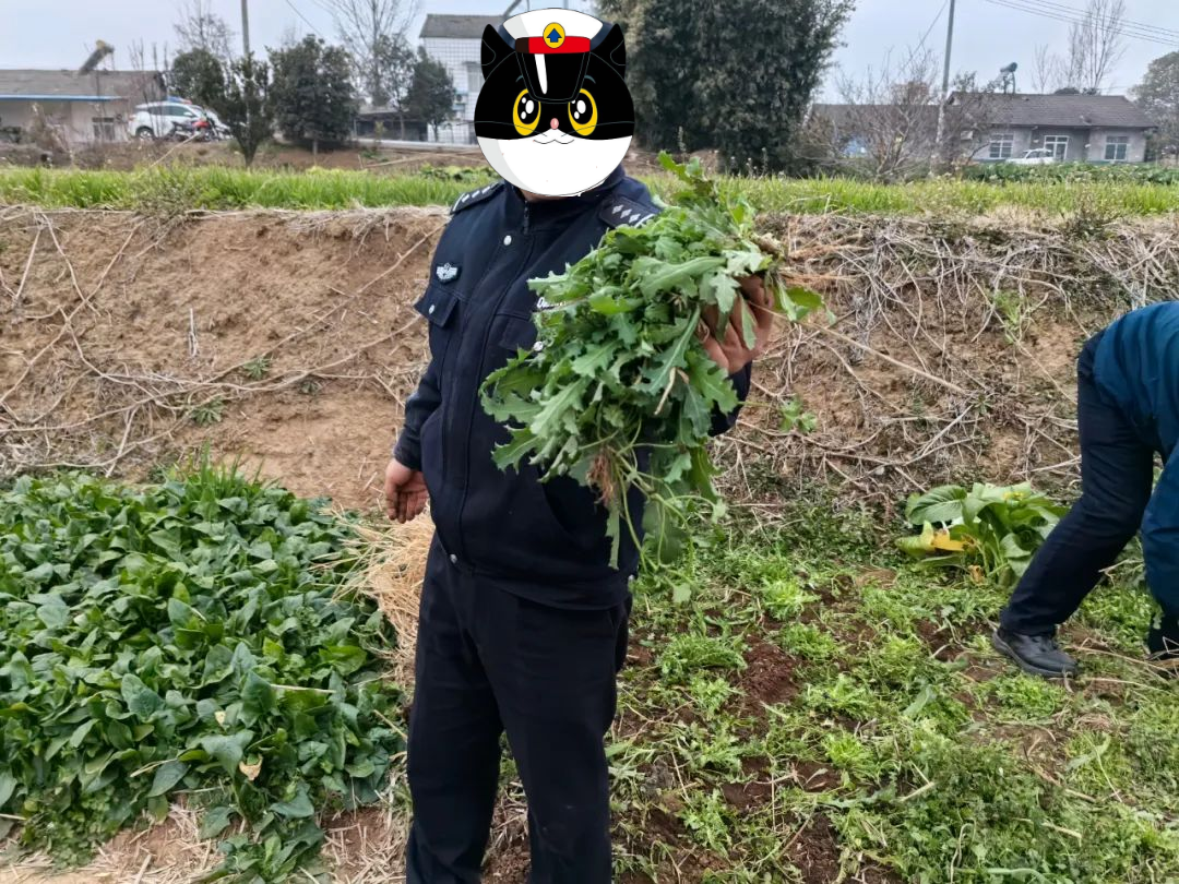 165909p8myr01r83syxh3h.png