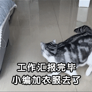 171809tqus4dllq5209lnc.gif