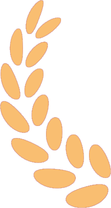 163404umr8e53sx4sd1jos.png