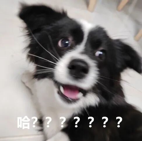 160311ptrazr4yrh8ov3or.jpeg