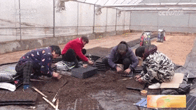 173941t6ljlz865r8pl786.gif